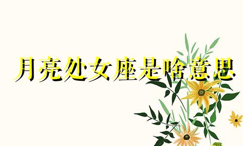月亮处女座是啥意思 月亮处女座的深度剖析