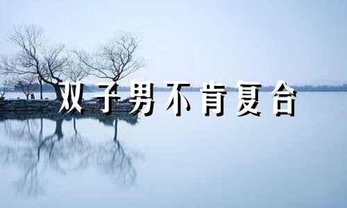 双子男不肯复合 双子男对于不能在一起的真爱
