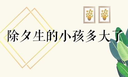 除夕生的小孩多大了 除夕生的孩子好吗