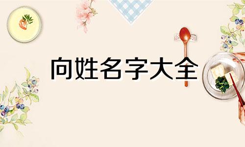 向姓名字大全 向姓名字大全男孩2020