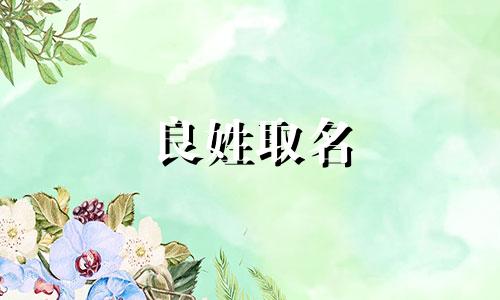 良姓取名 良字派的男孩起名