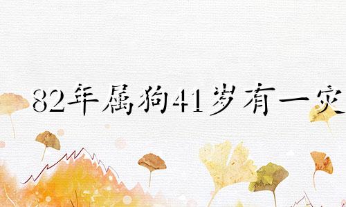 82年属狗41岁有一灾 82年属狗42岁会遇上什么灾难