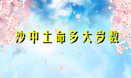 沙中土命多大岁数 沙中土命的人好吗