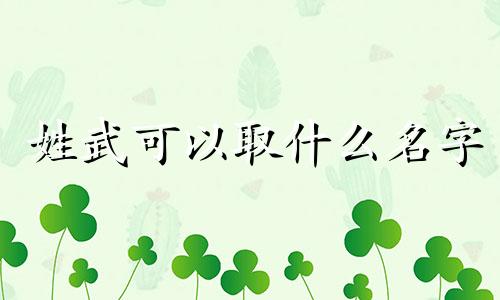 姓武可以取什么名字 姓武的男孩起什么名字好听又简单