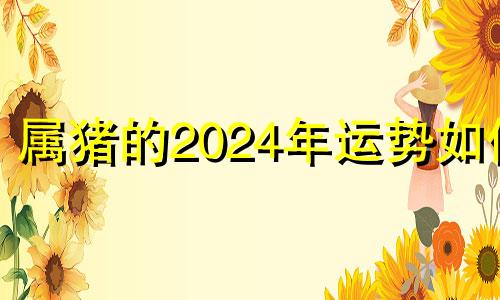 属猪的2024年运势如何 属猪人2024年全年运势及运程
