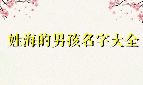 姓海的男孩名字大全 姓海取名字男孩女孩
