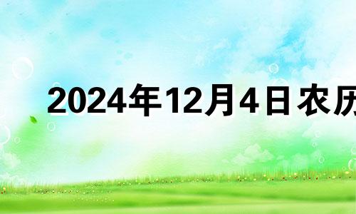 2024年12月4日农历 2020年公历12月24日入宅吉凶