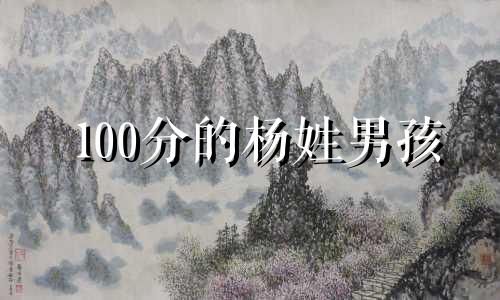 100分的杨姓男孩 杨姓男孩取名2018