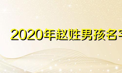 2020年赵姓男孩名字 赵姓男孩2022