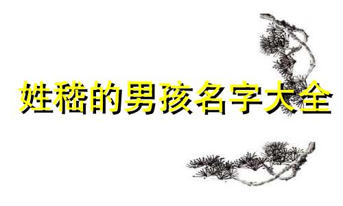 姓嵇的男孩名字大全 嵇氏姓名大全