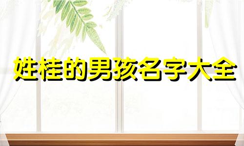 姓桂的男孩名字大全 桂姓起什么名字好听