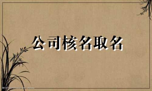 公司核名取名 公司名称核准怎么操作