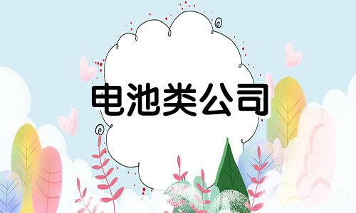电池类公司 电池公司名字大全