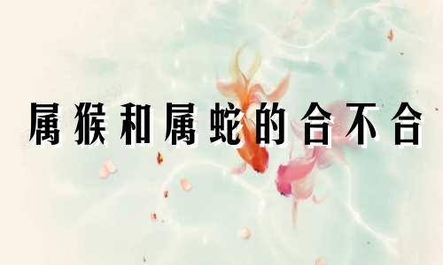属猴和属蛇的合不合 属兔和属龙的八字合吗