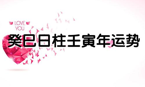 癸巳日柱壬寅年运势 癸巳日柱2021年