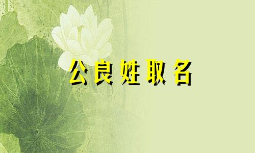 公良姓取名 公良姓现在演变成哪个姓氏了