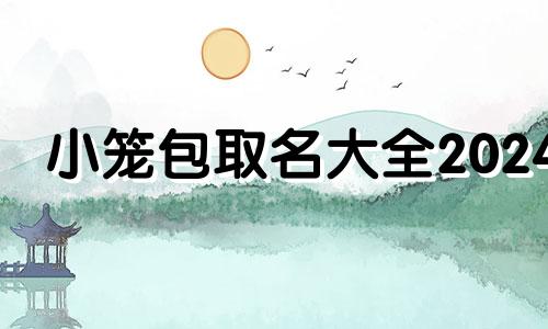 小笼包取名大全2024 小笼包起名大全