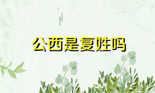 公西是复姓吗 公姓洋气名字