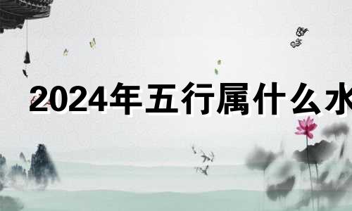 2024年五行属什么水 2024年取名字