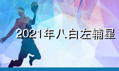 2021年八白左辅星 八白左辅星当令