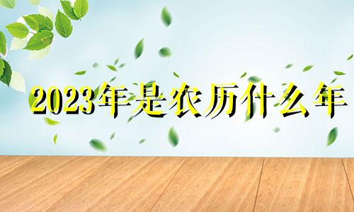 2023年是农历什么年 2024年黄历查询表
