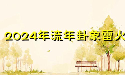 2024年流年卦象雷火丰 2024年六十四卦哪一卦