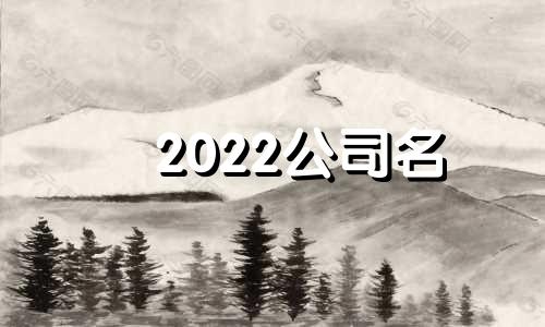 2022公司名