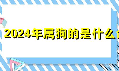 2024年属狗的是什么命 为什么2024年属狗的是一个坎