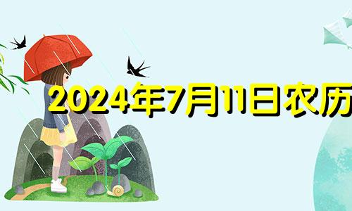 2024年7月11日农历 2024年七月