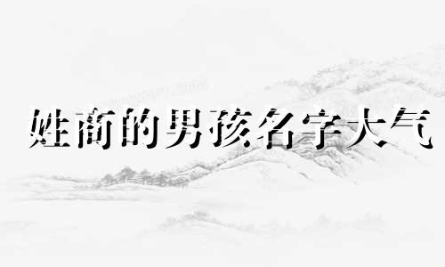 姓商的男孩名字大气 姓商的男孩名字贵气的