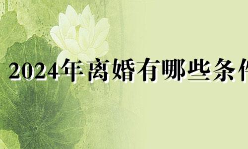 2024年离婚有哪些条件