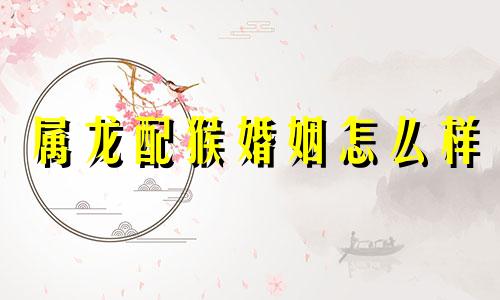 属龙配猴婚姻怎么样 属龙的和属猴的婚姻配不配