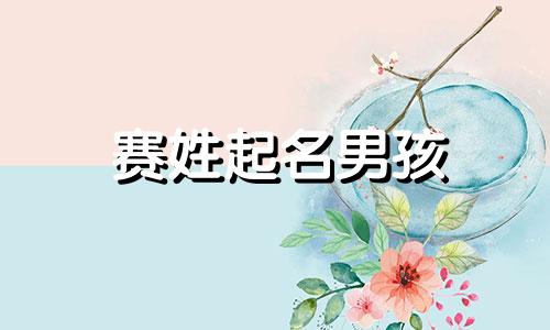 赛姓起名男孩 赛氏姓名