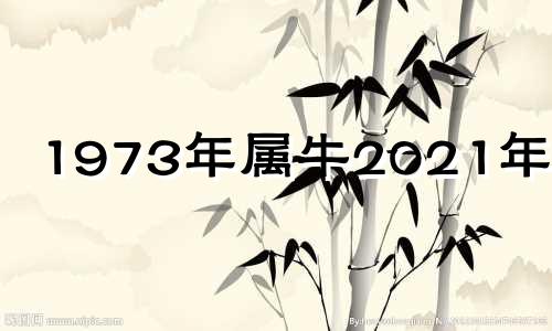 1973年属牛2021年一灾 属1973牛的2021有大难