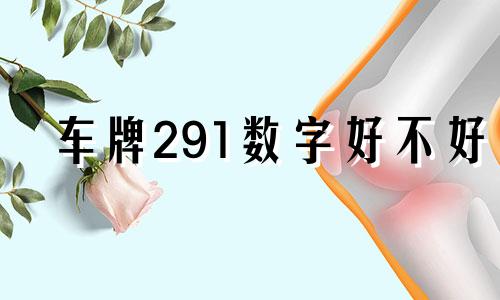 车牌291数字好不好 车牌号291是什么意思