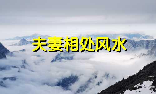 夫妻相处风水 夫妻贫贱百事哀什么意思