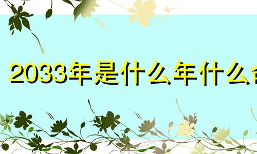 2033年是什么年什么命 203年是什么生肖和什么命