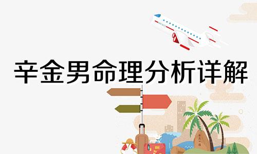 辛金男命理分析详解 辛金男命局