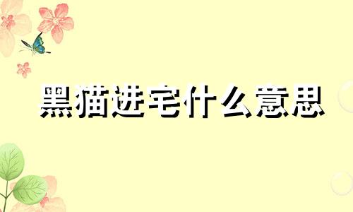 黑猫进宅什么意思 黑猫入宅的预兆