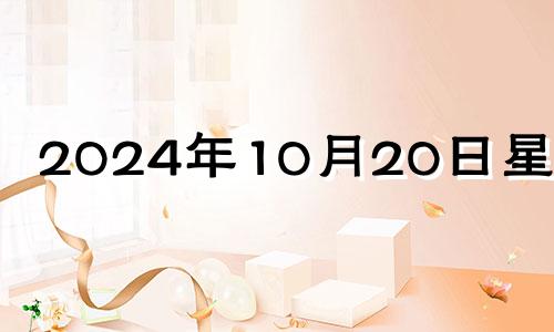 2024年10月20日星期几 2024年10月10日是什么日子