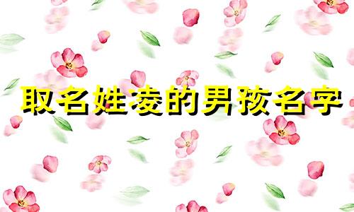 取名姓凌的男孩名字 凌姓男宝宝取名大全