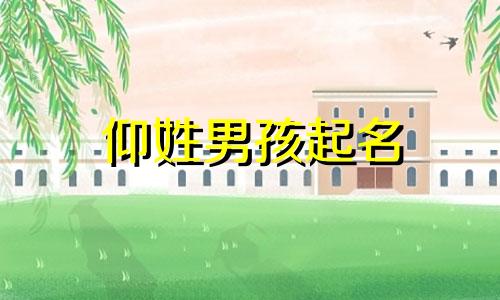 仰姓男孩起名 仰字辈取名