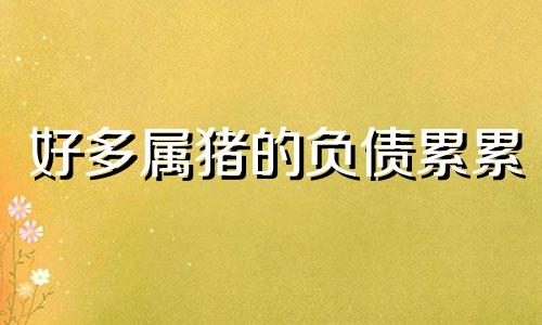 好多属猪的负债累累 属猪的受生债