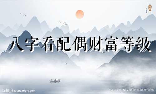 八字看配偶财富等级 八字看配偶财富怎么看