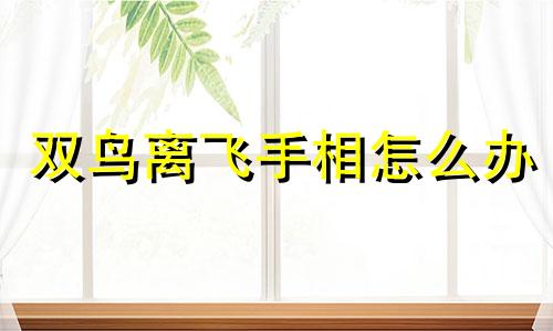 双鸟离飞手相怎么办 双鸟离飞什么意思