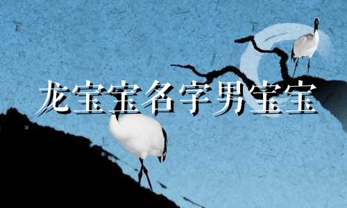 龙宝宝名字男宝宝 龙宝宝名字男女通用