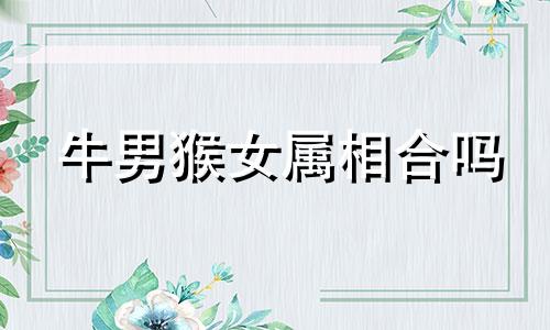 牛男猴女属相合吗 男属牛女属猴会幸福吗