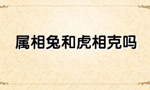 属相兔和虎相克吗 属兔人和属虎人的不同关系分析
