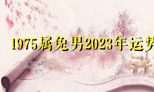1975属兔男2023年运势 1975属兔2024年以后运气