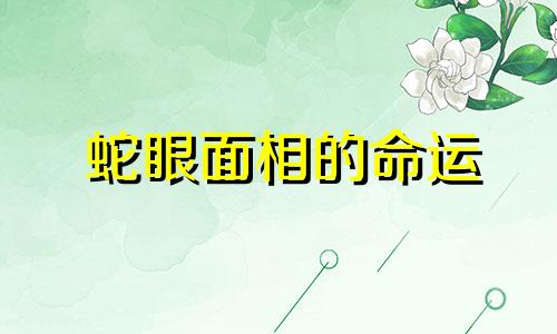 蛇眼面相的命运 蛇眼眼型的人